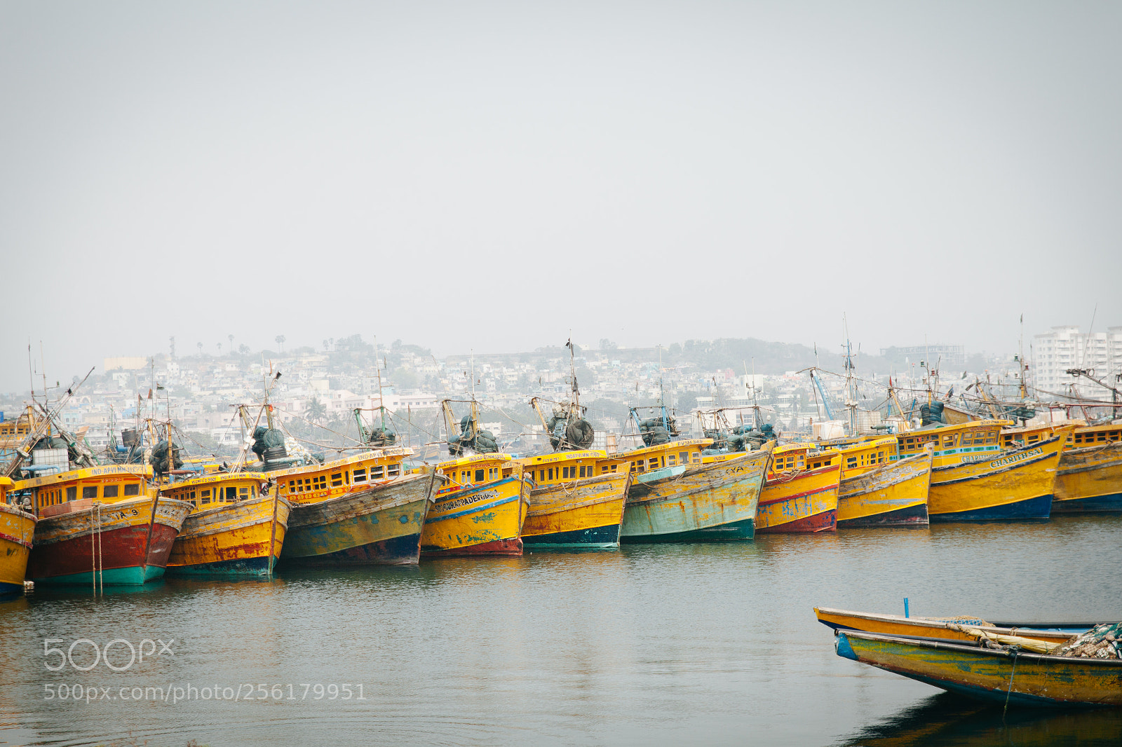 Canon EOS 5D Mark II sample photo. Shades of yellow photography