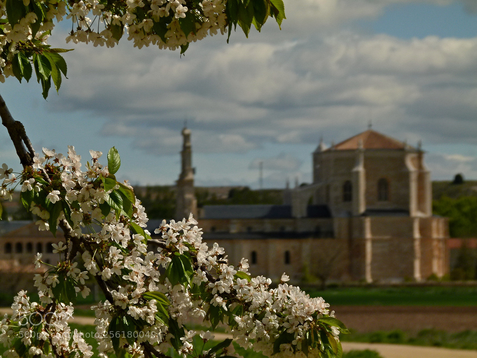 Panasonic Lumix DMC-FZ100 sample photo. Los respiros de primavera photography