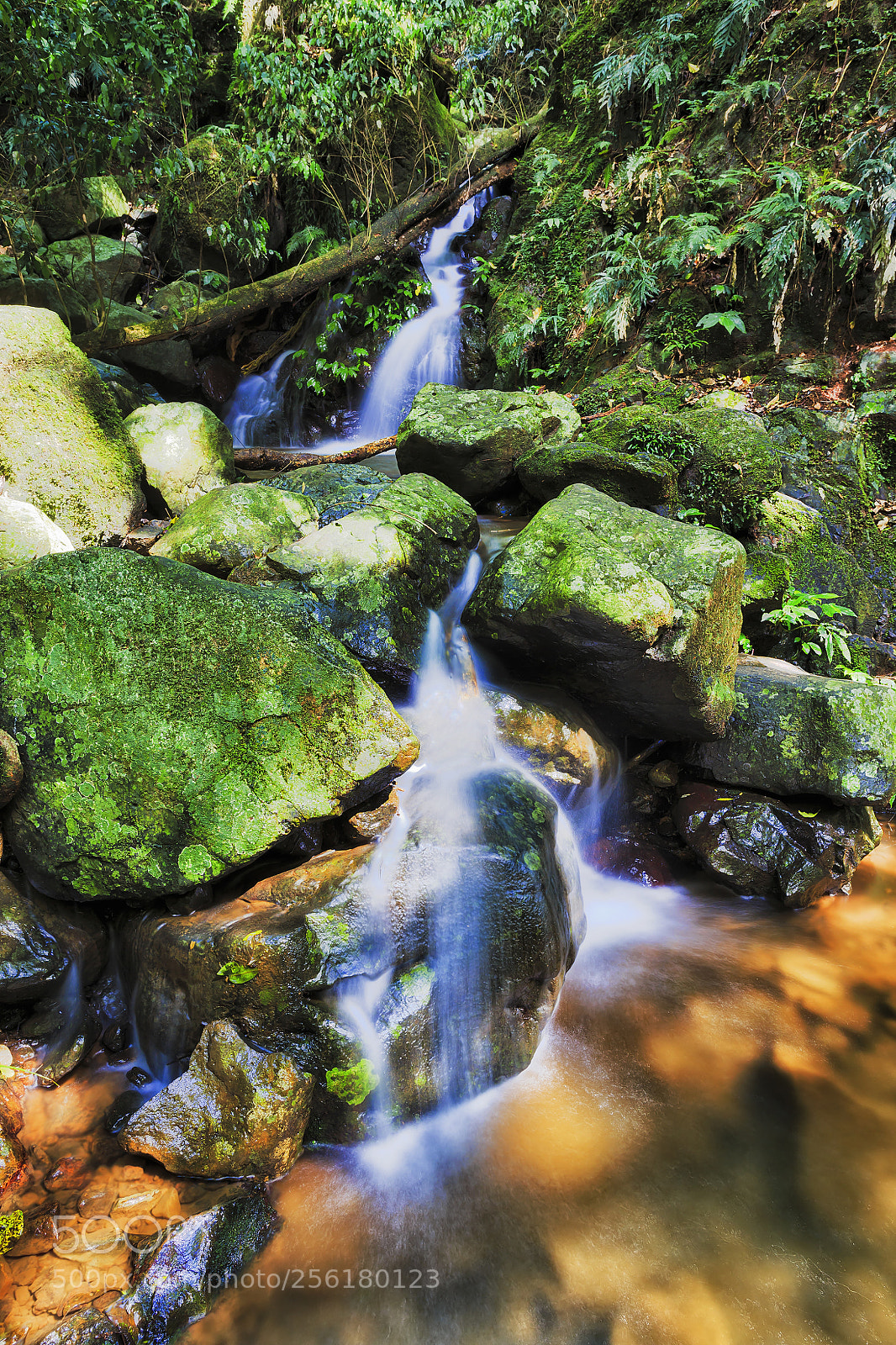 Canon EOS 6D sample photo. Natural miniature photography