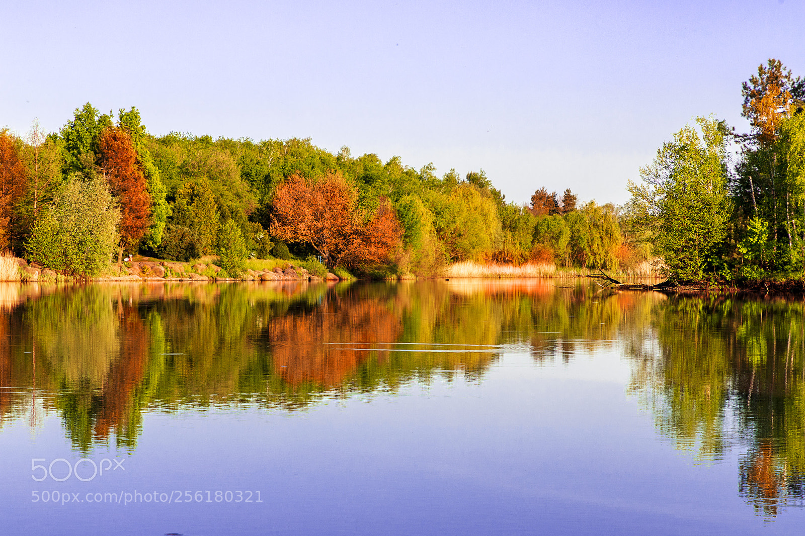 Canon EOS 6D Mark II sample photo. Lakebank photography