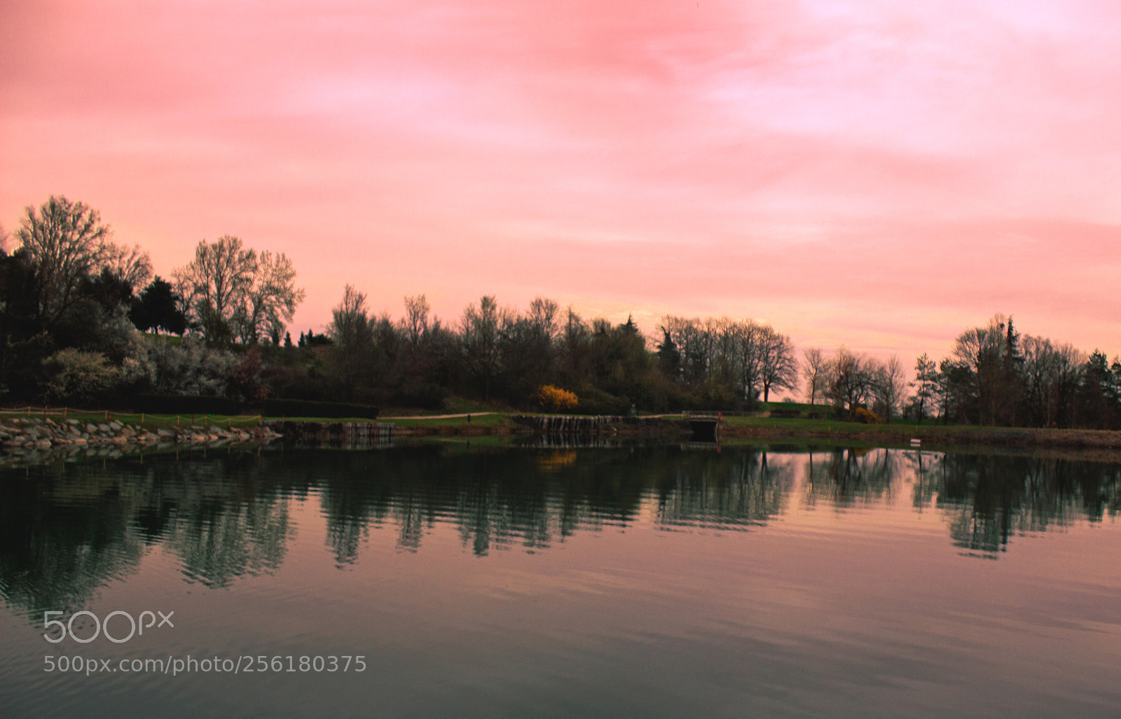Canon EOS 600D (Rebel EOS T3i / EOS Kiss X5) sample photo. Pink sky photography