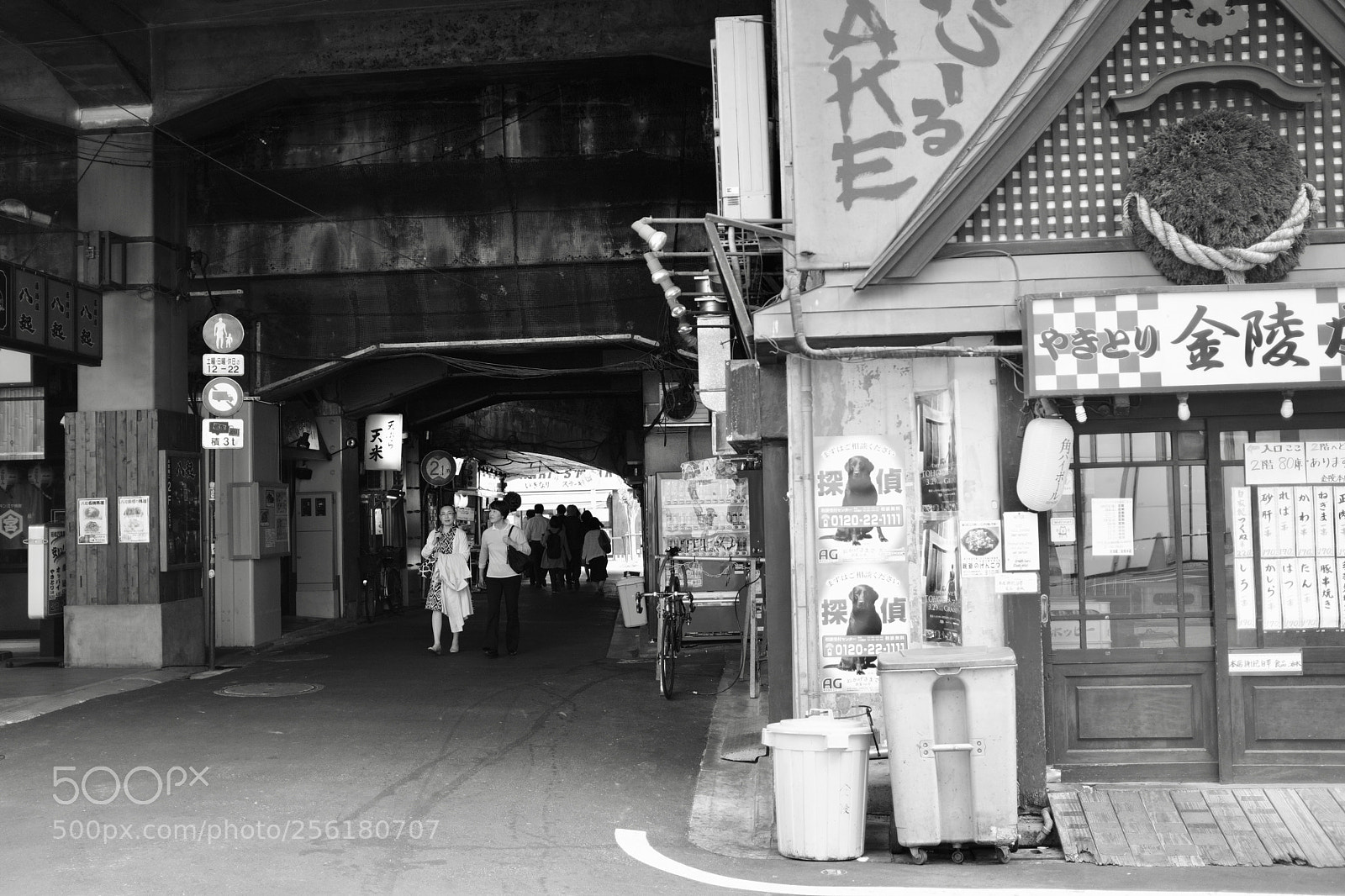 Fujifilm X100F sample photo. Under the rail photography