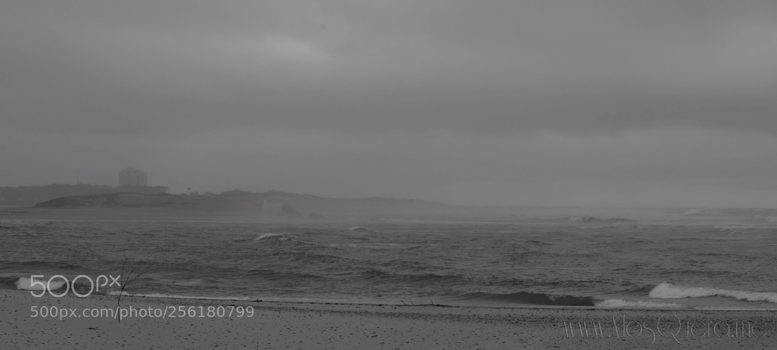 Nikon D5300 sample photo. Dia inverno photography