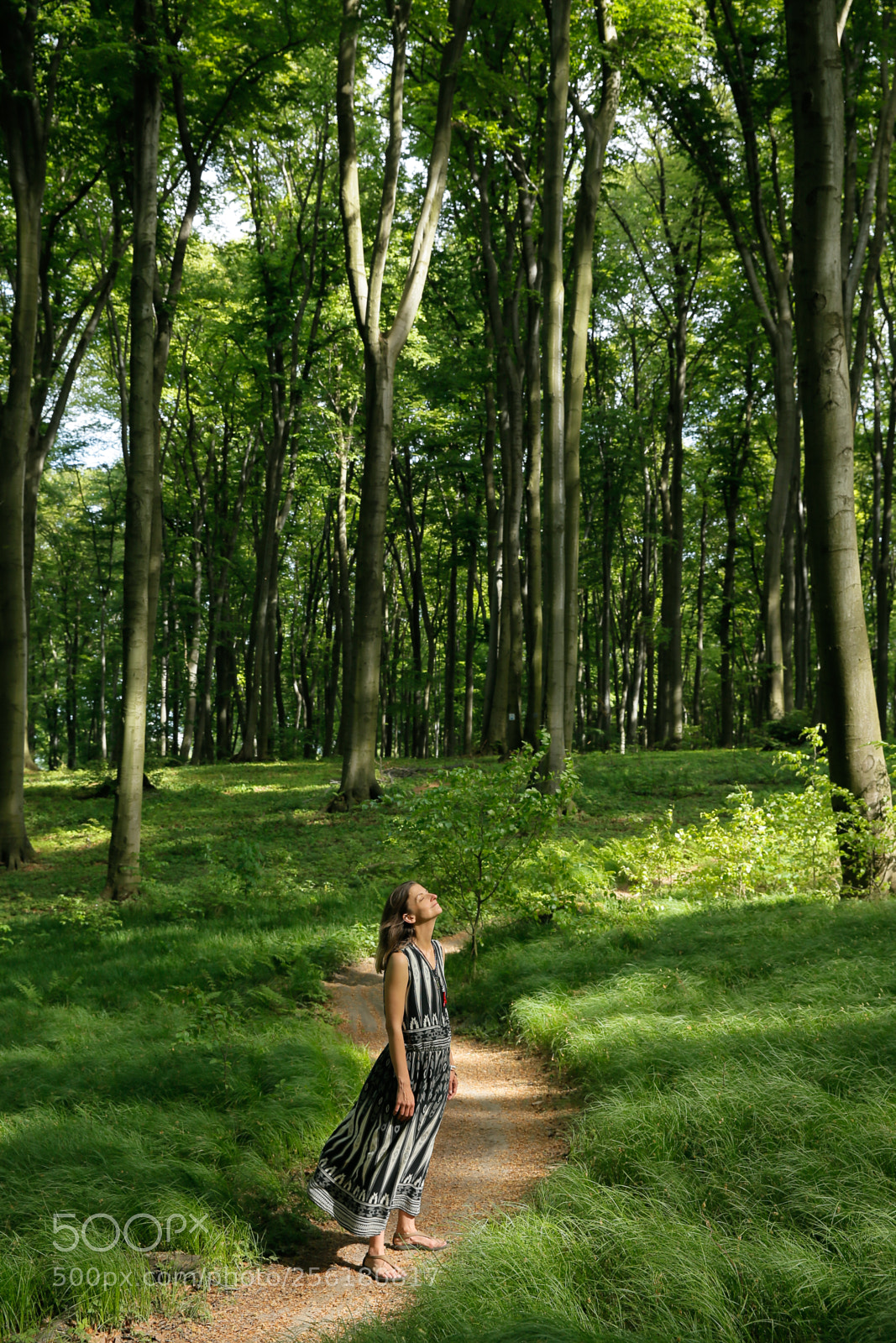 Canon EOS-1D X sample photo. On my own path... photography