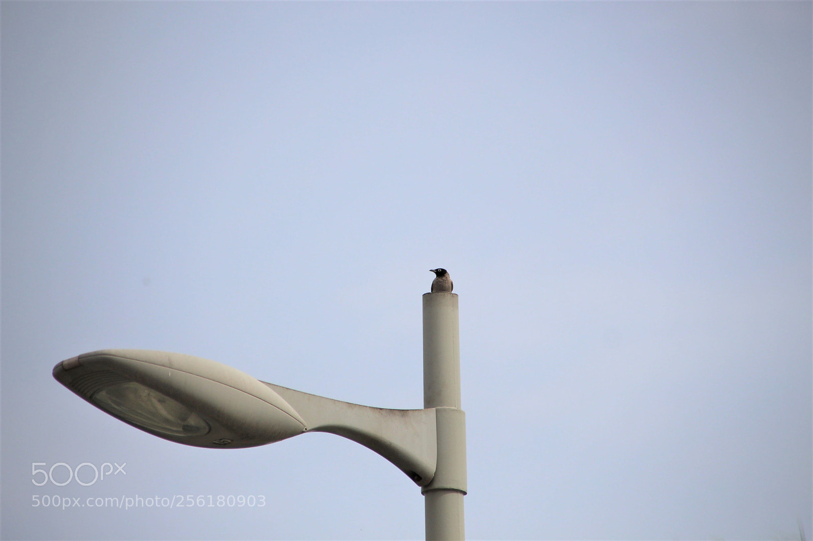 Canon EOS 700D (EOS Rebel T5i / EOS Kiss X7i) sample photo. Untop of the world photography