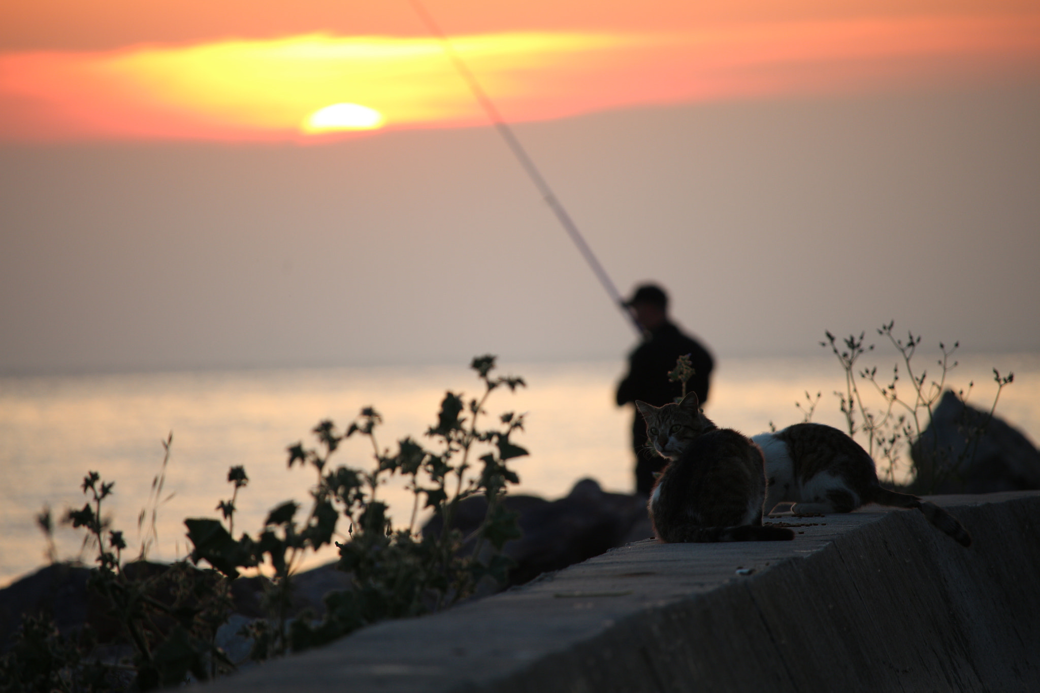 Canon EOS 700D (EOS Rebel T5i / EOS Kiss X7i) + Canon EF-S 55-250mm F4-5.6 IS STM sample photo. Sunset in İstanbul photography