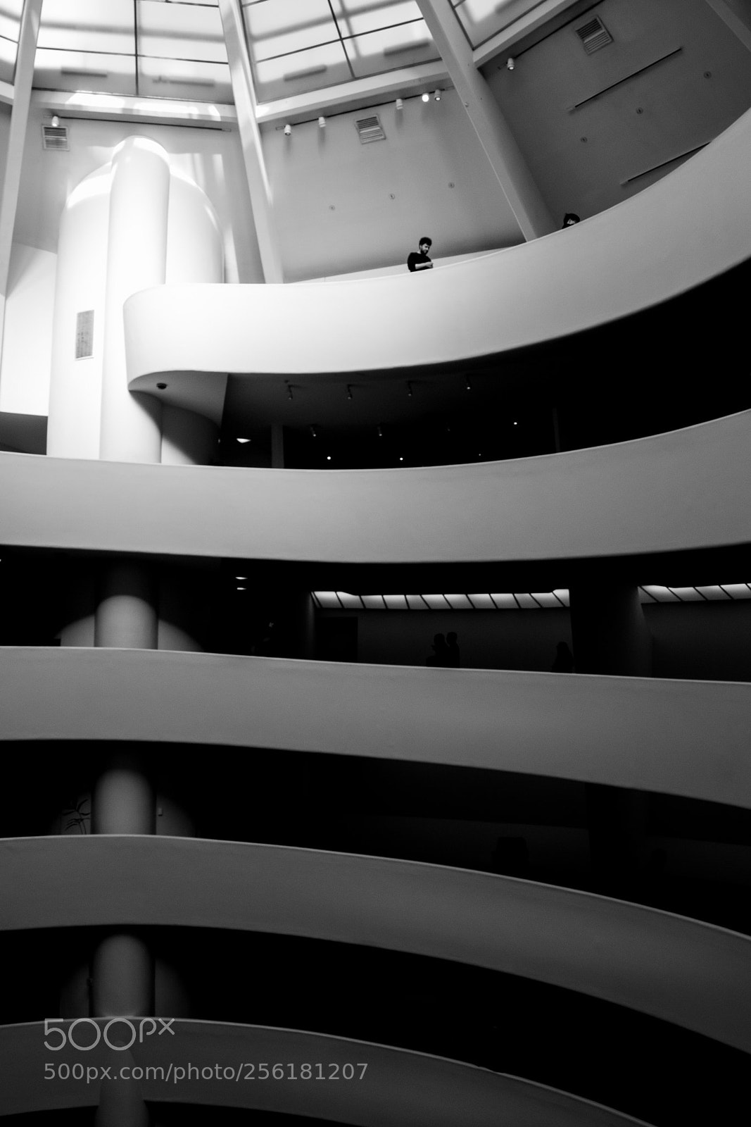 Nikon D5500 sample photo. Guggenheim photography