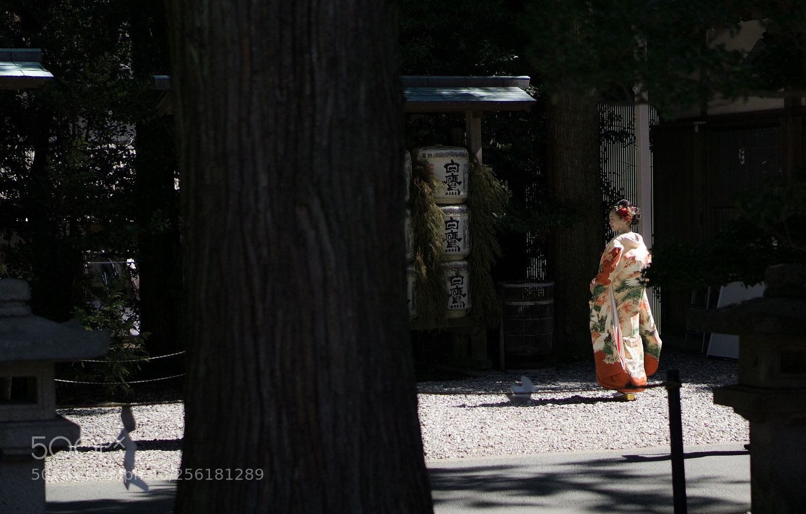 Sony a6000 sample photo. Focus→japan  photography
