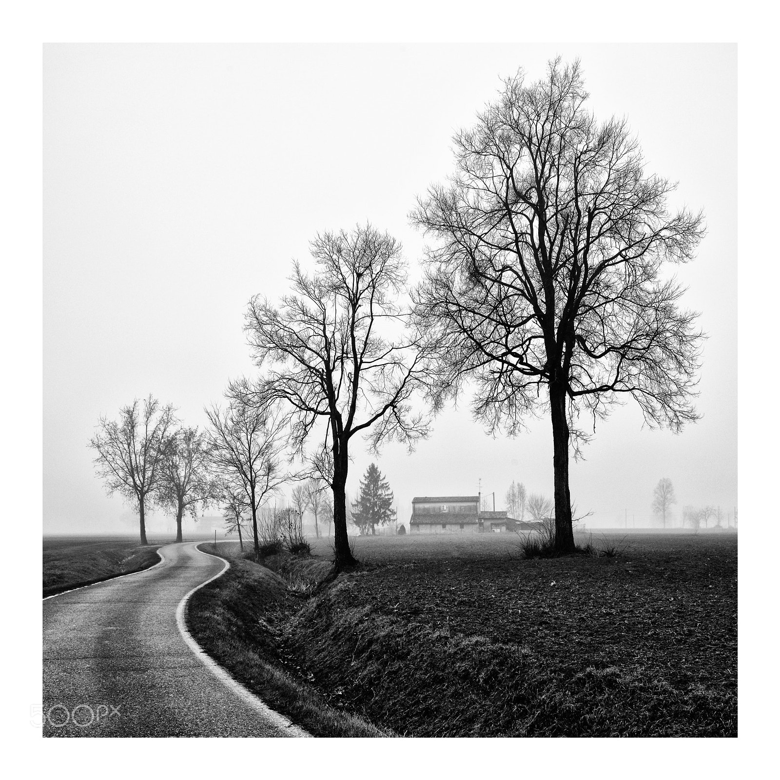Nikon D800 sample photo. Assenza e istinto photography