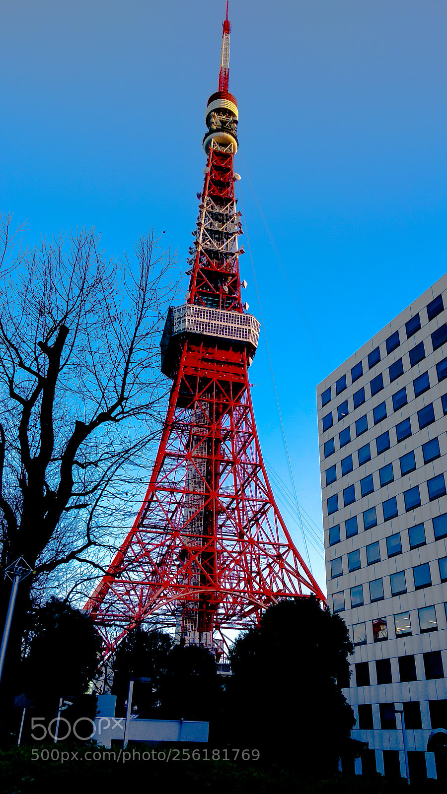 Xiaomi Mi A1 sample photo. Tokyo tower photography