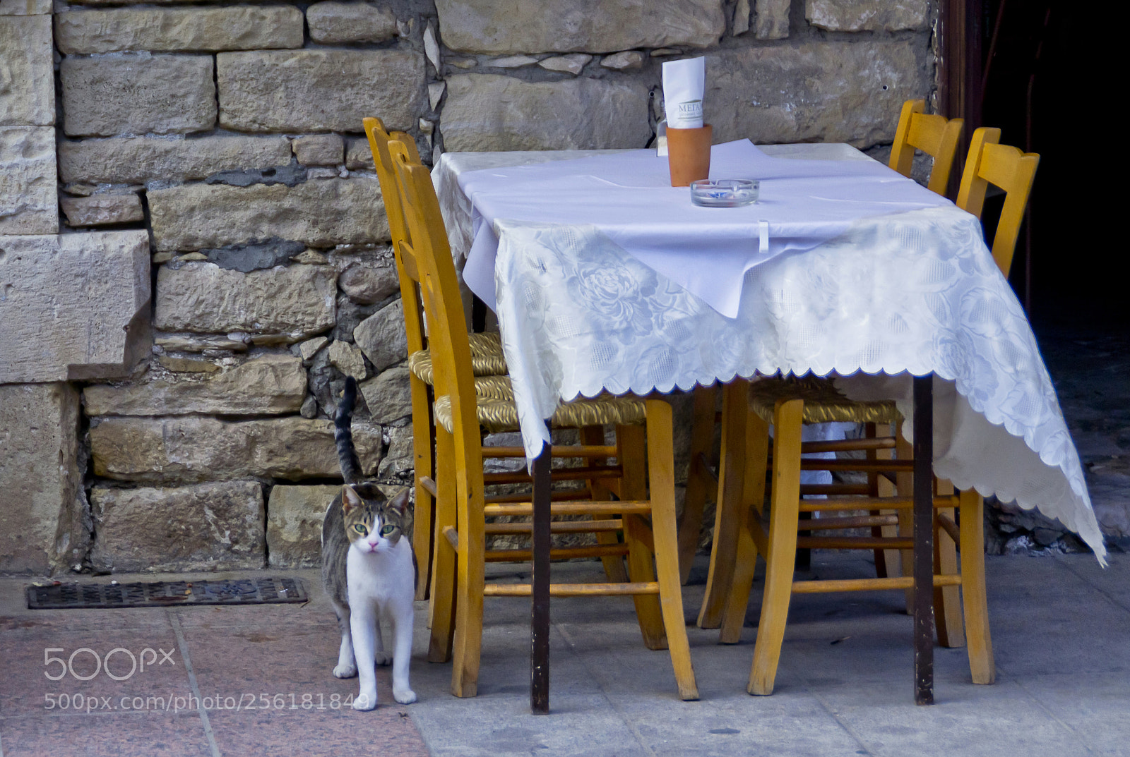 Nikon D3100 sample photo. Limassol photography
