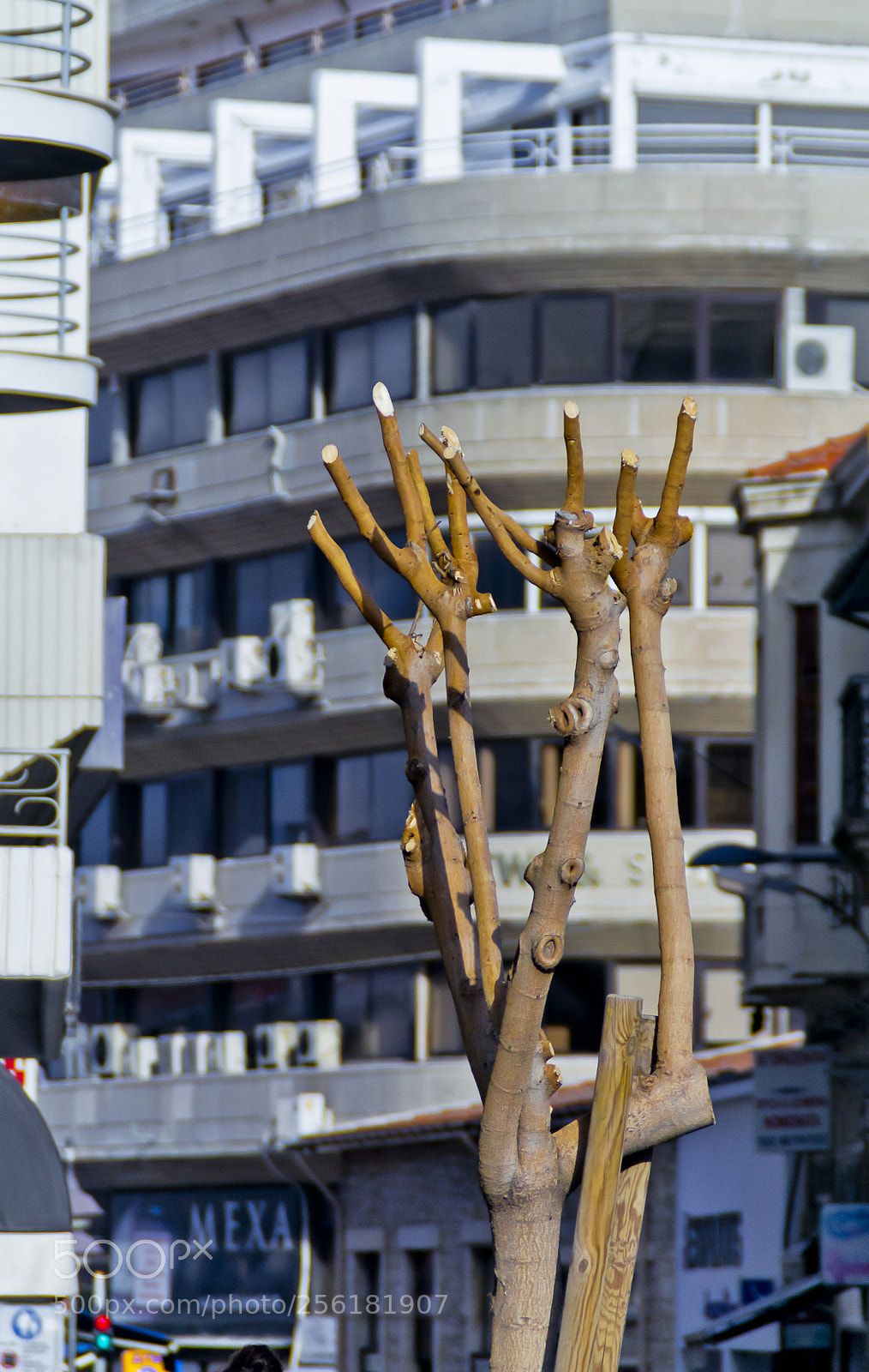 Nikon D3100 sample photo. Limassol photography