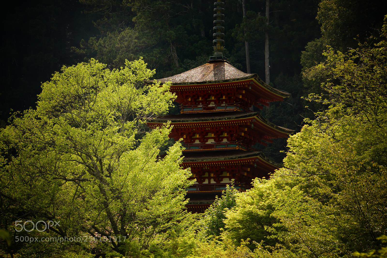 Sony a6000 sample photo. In nara photography