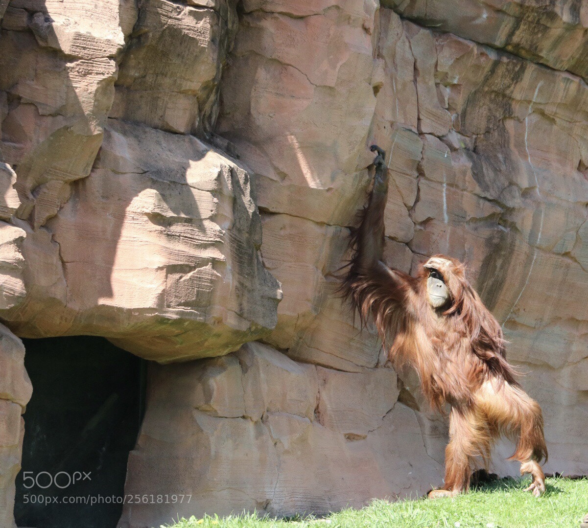 Canon EOS 750D (EOS Rebel T6i / EOS Kiss X8i) sample photo. Where are they? photography