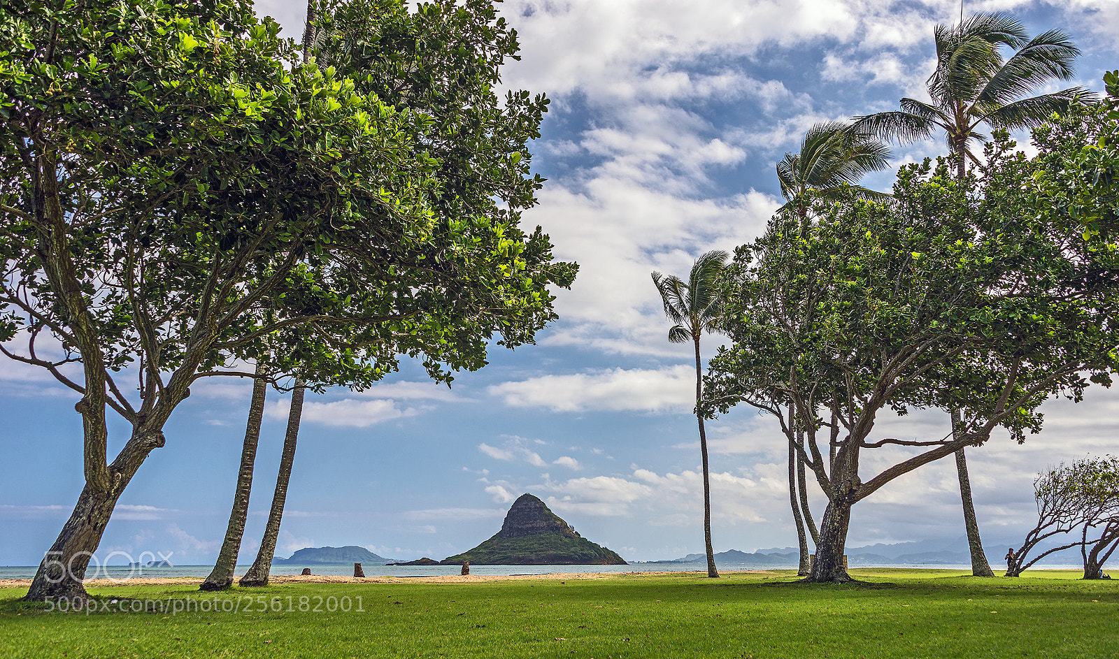 Nikon D610 sample photo. Kualoa point, oahu photography