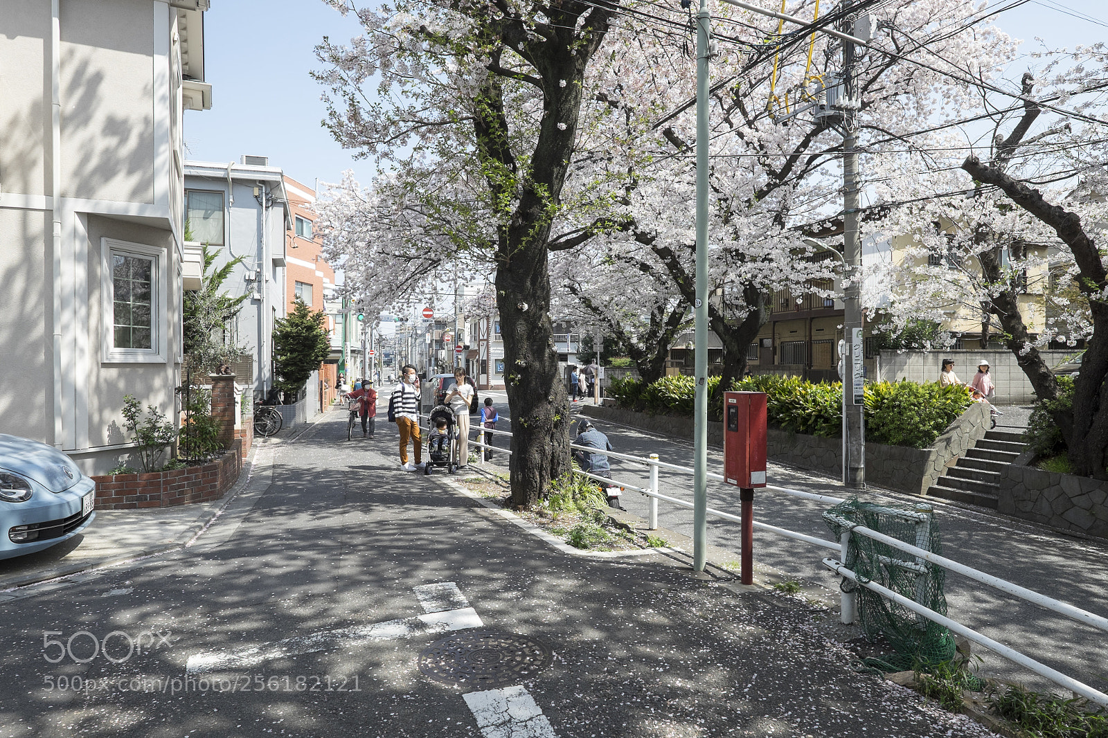 Fujifilm X-T1 sample photo. Tokyo.大田区田園調布本町　桜坂 photography