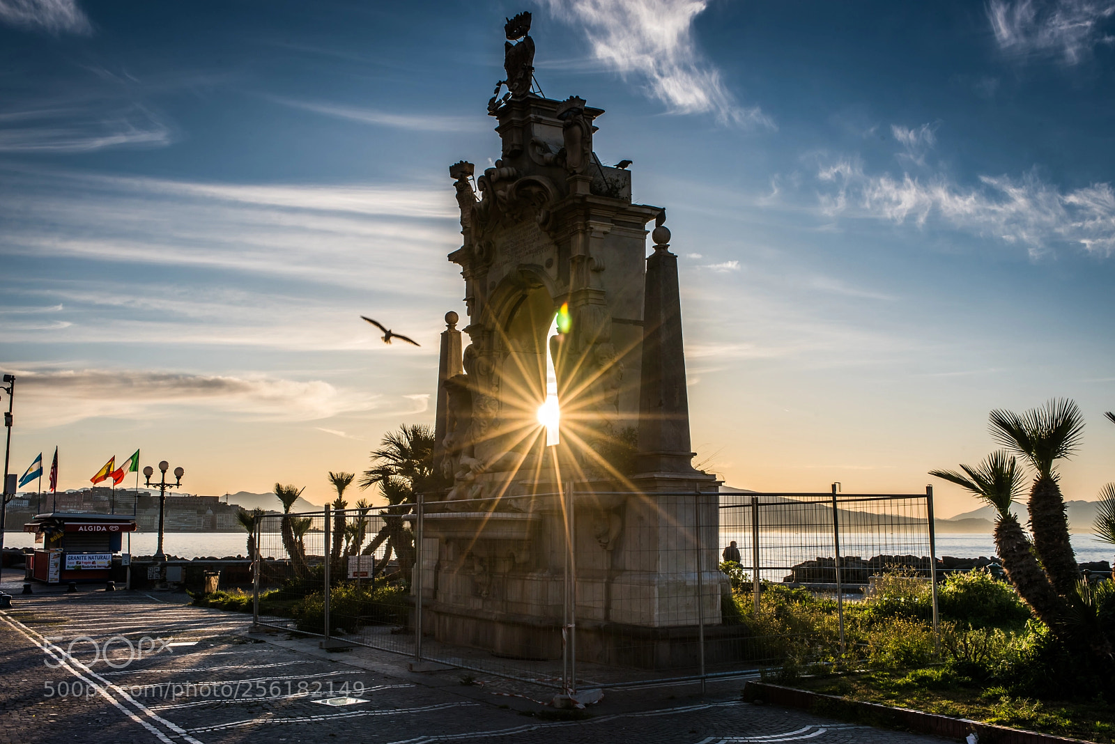 Nikon D750 sample photo. Morning sunshine photography