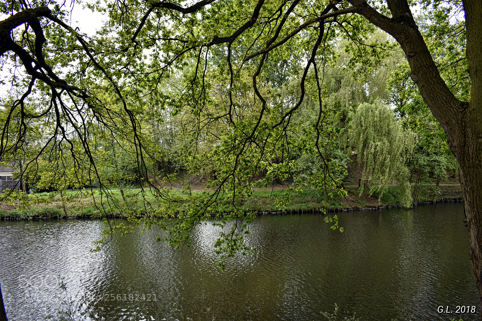 Nikon D3400 sample photo. Untitled photography