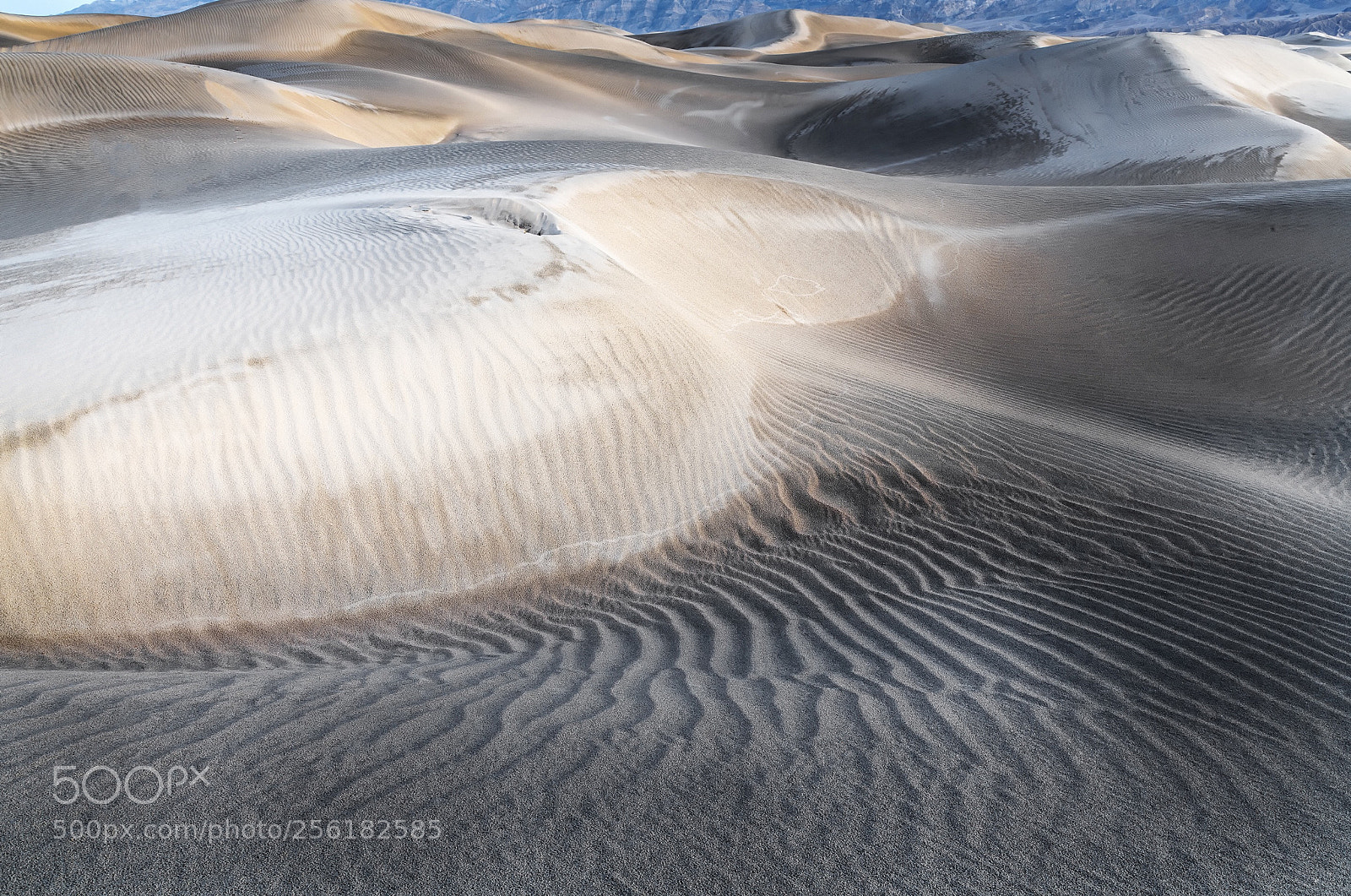 Nikon D850 sample photo. Dune forms, death valley photography
