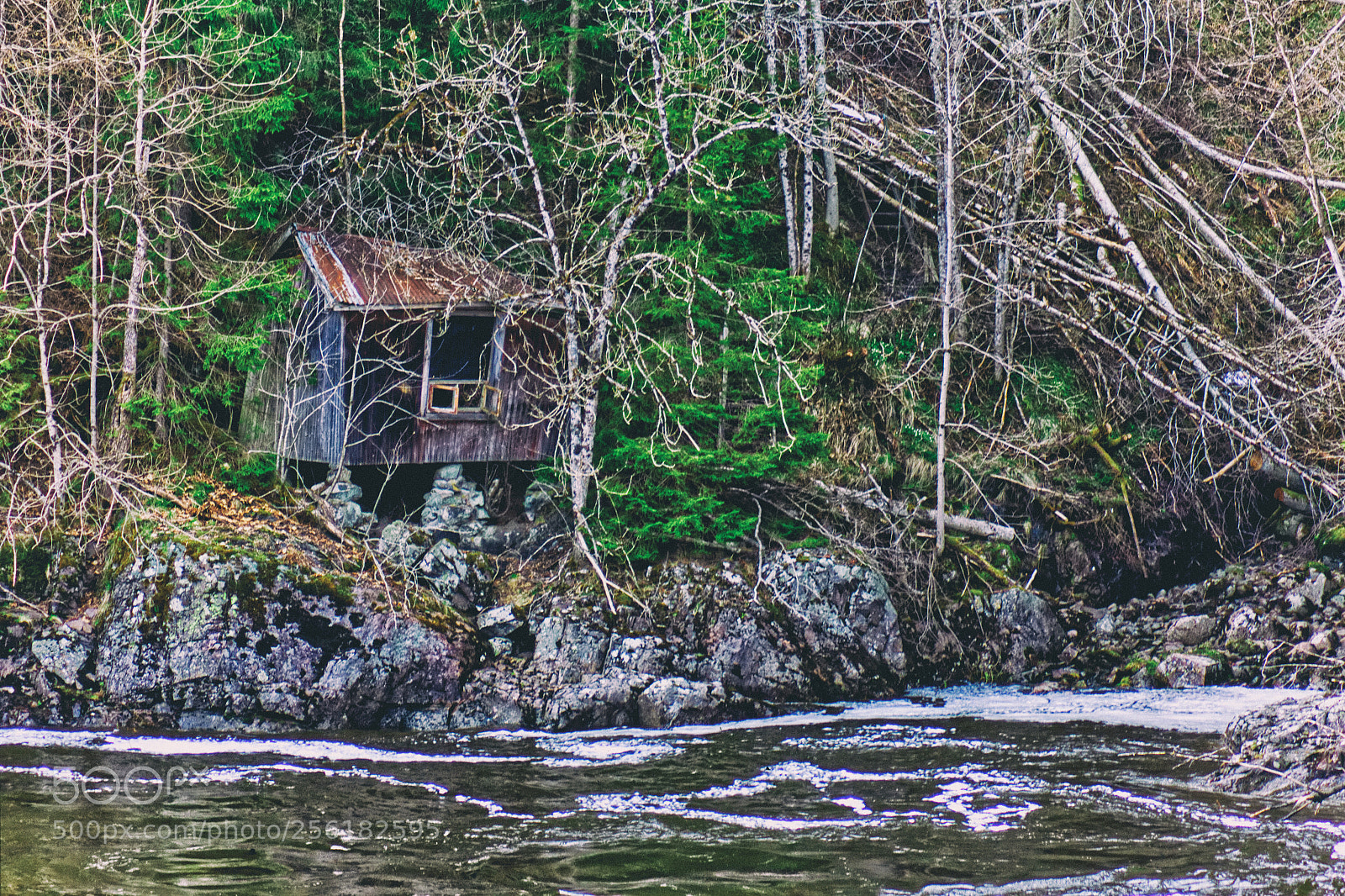 Canon EOS 600D (Rebel EOS T3i / EOS Kiss X5) sample photo. Abandoned lakehouse photography