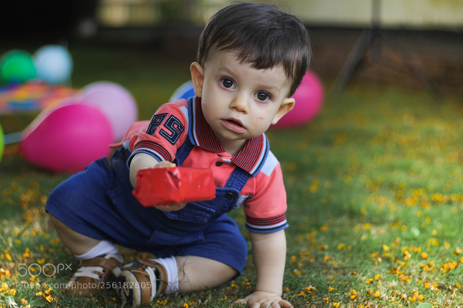 Canon EOS 60D sample photo. Bento photography