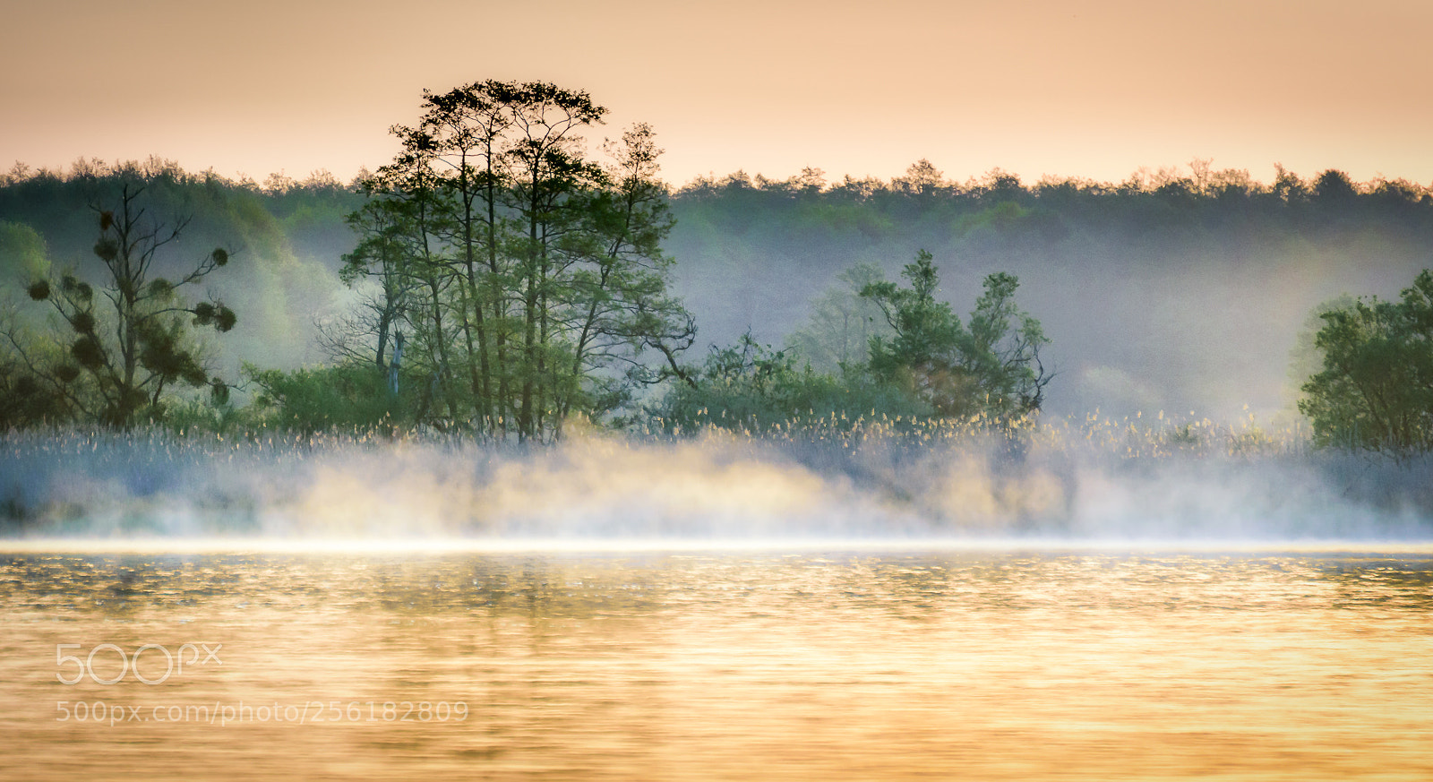 Nikon D5300 sample photo. Wounded mists photography