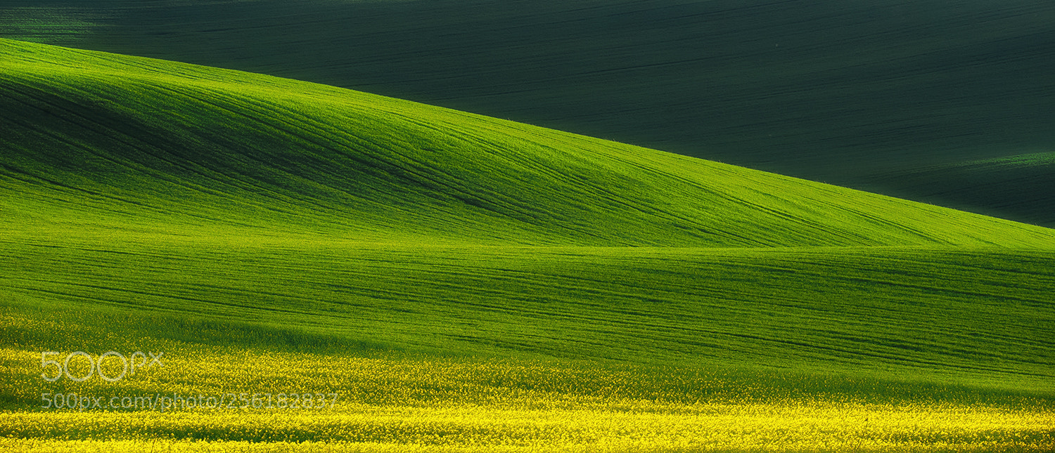 Nikon D700 sample photo. Spring layers photography