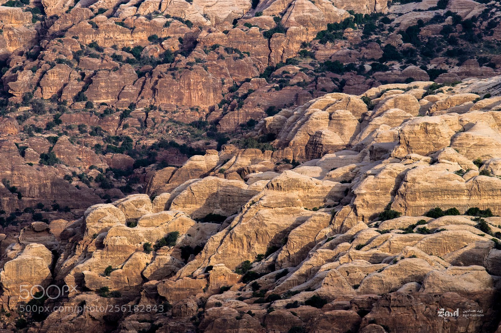Canon EOS 80D sample photo. Waves of stone photography