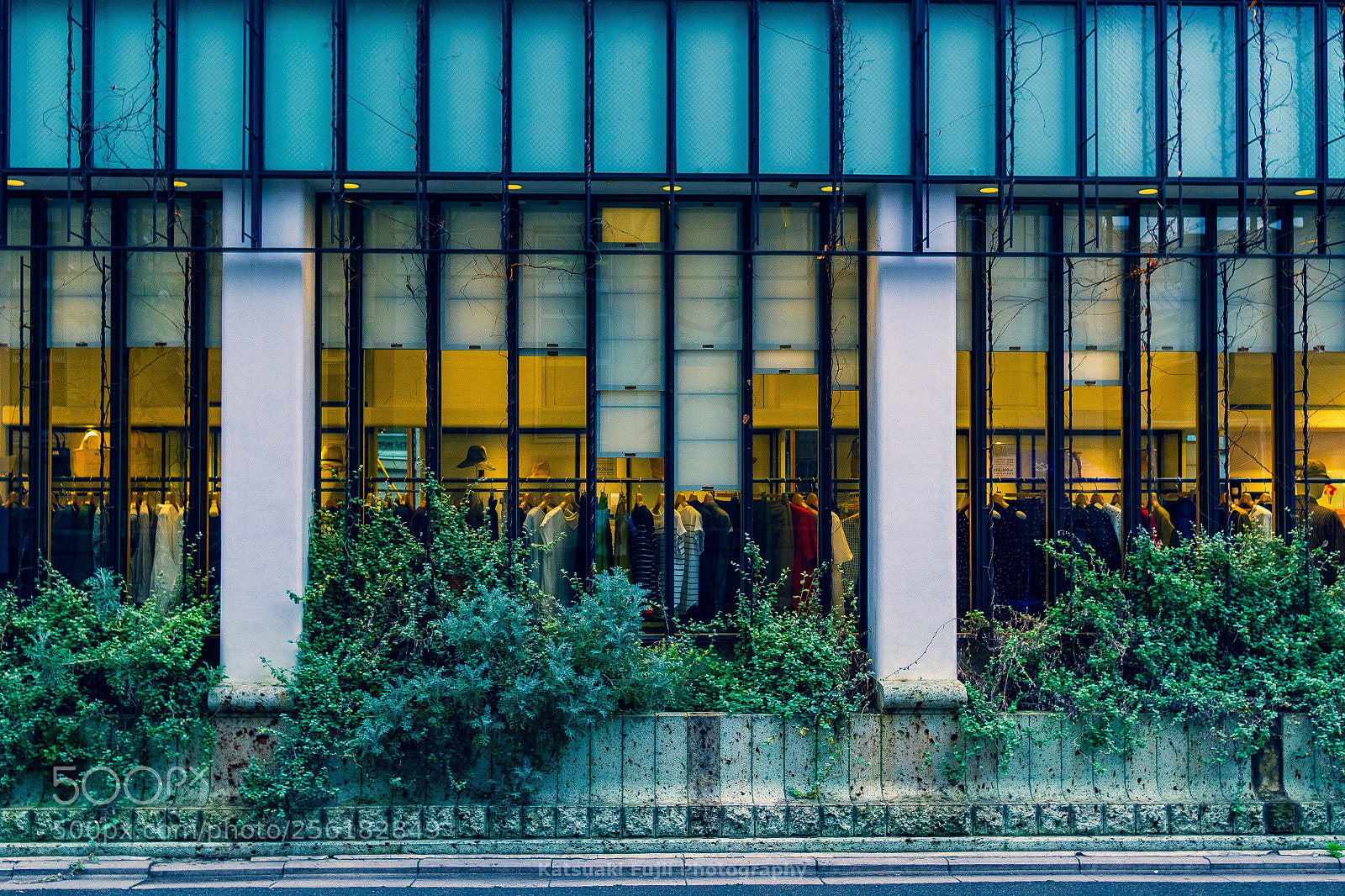 Olympus OM-D E-M1 sample photo. Boutique photography