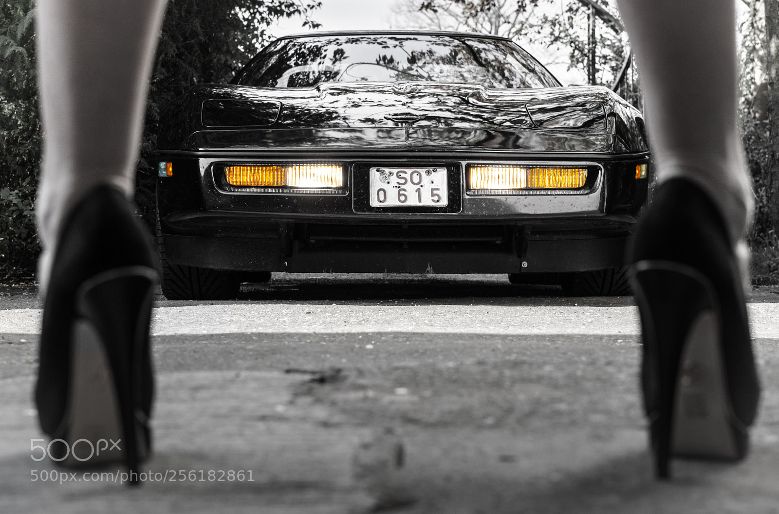 Sony a6000 sample photo. Attractive horsepower  photography