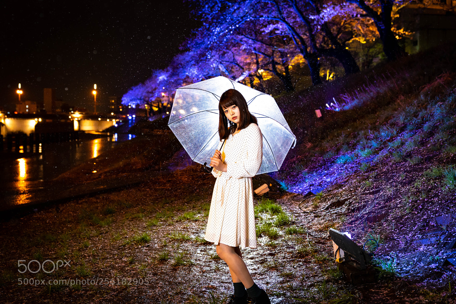 Sony a7 III sample photo. 福井 足羽川堤防 photography