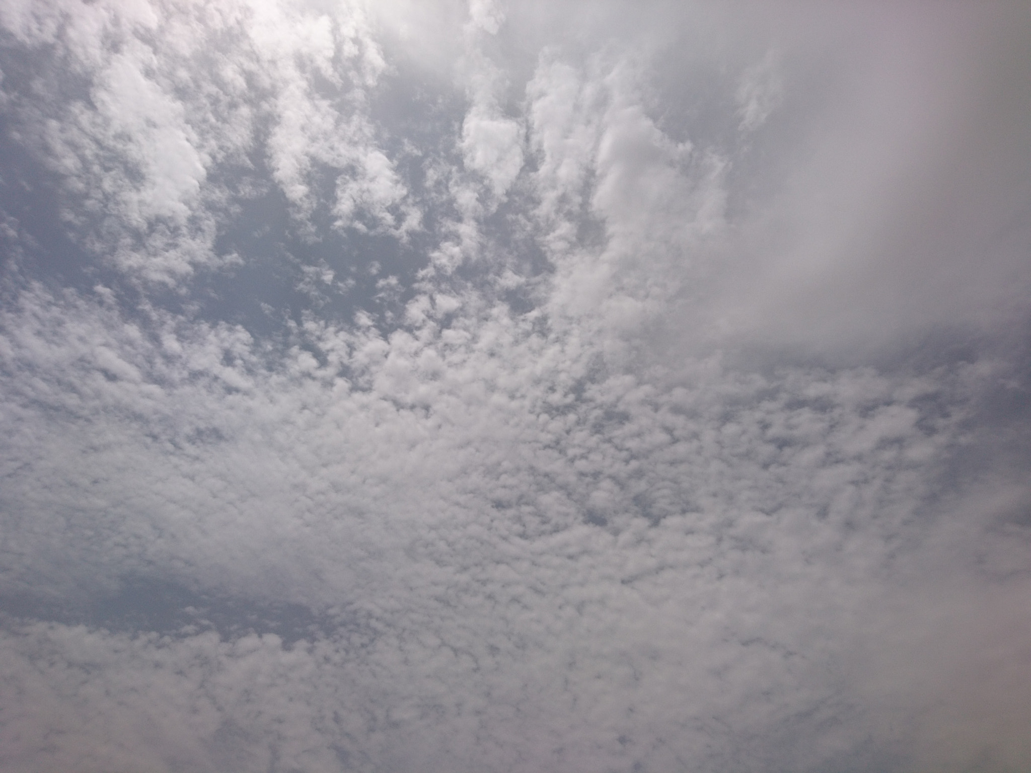 Sony Xperia X sample photo. Cloud is gathering photography