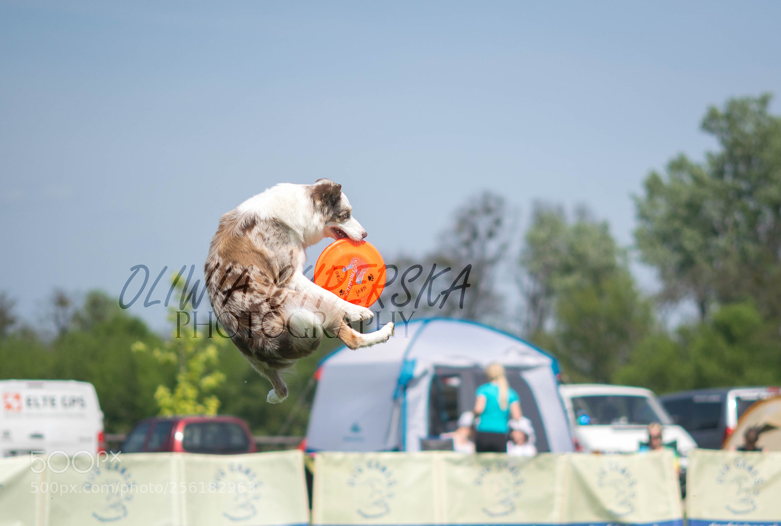 Nikon D5300 sample photo. Lorie photography