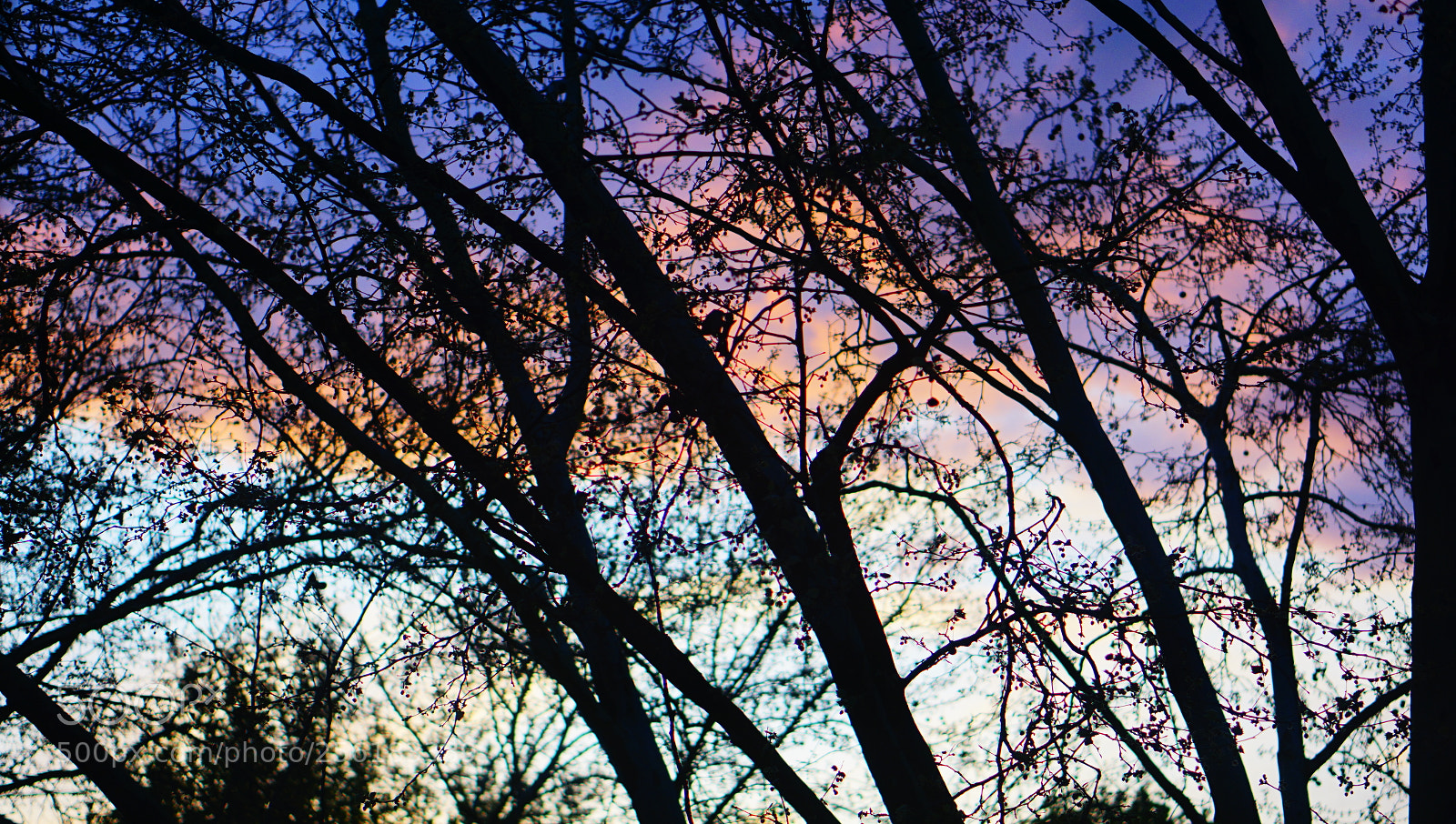 Sony a5100 sample photo. Sky photography