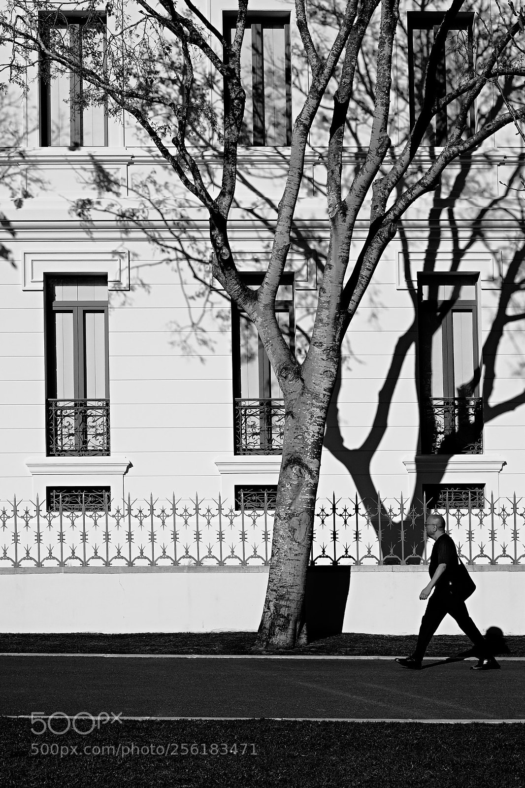 Fujifilm X-T20 sample photo. Cascais photography