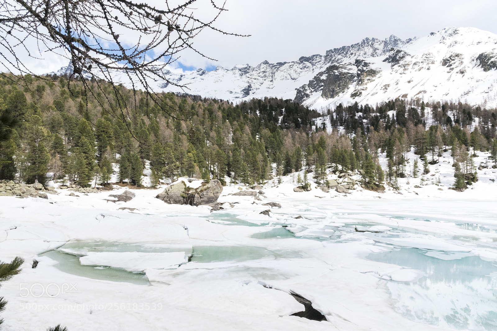 Nikon D750 sample photo. Saoseo thaw photography