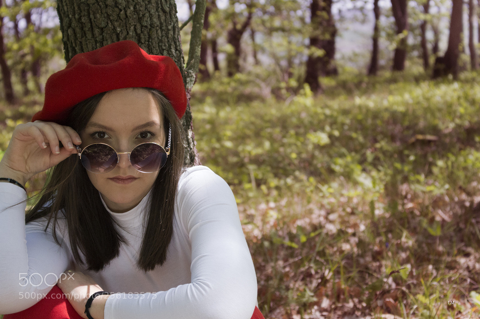 Canon EOS 700D (EOS Rebel T5i / EOS Kiss X7i) sample photo. Forest photography