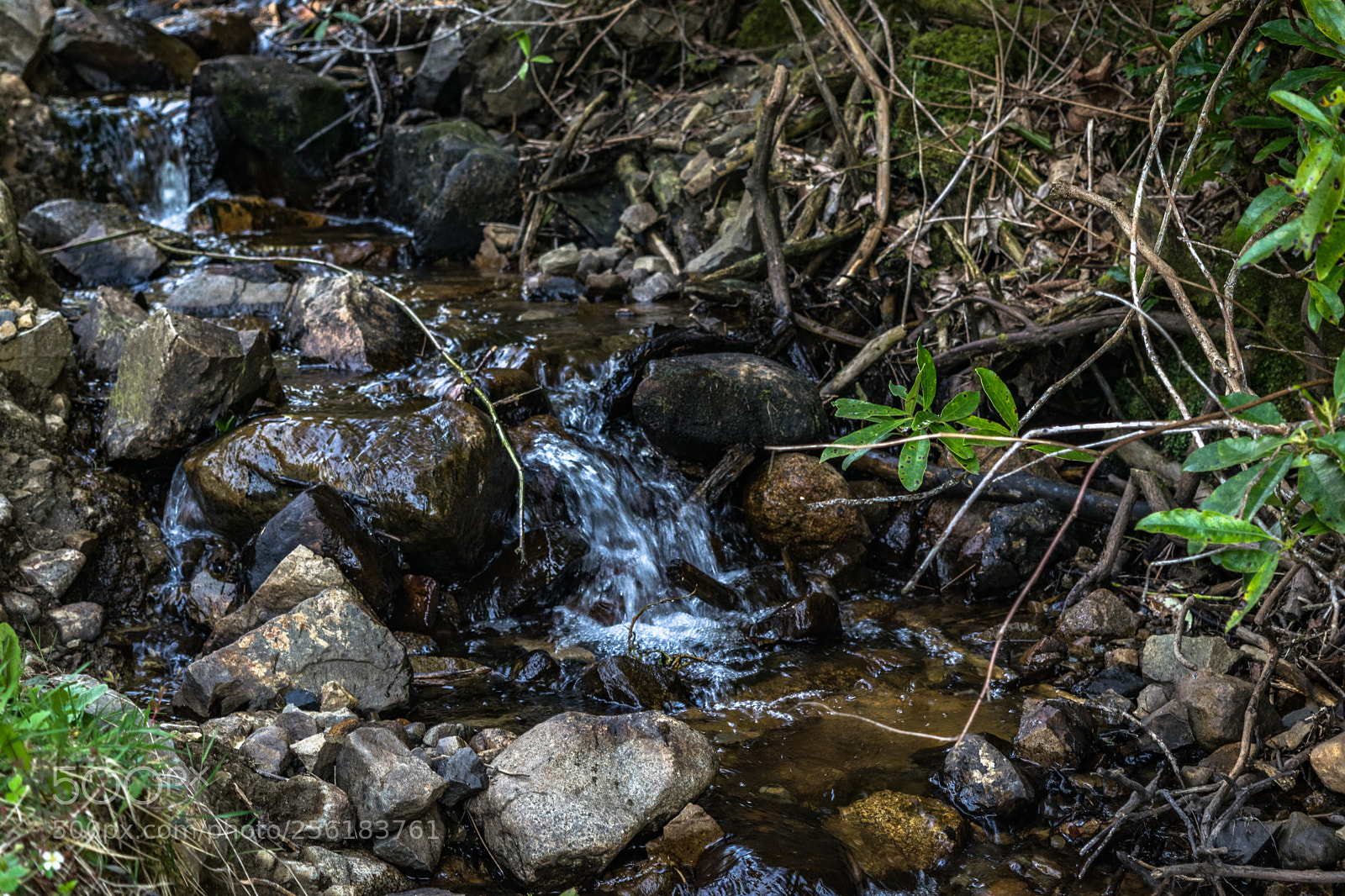 Nikon D5300 sample photo. At park photography