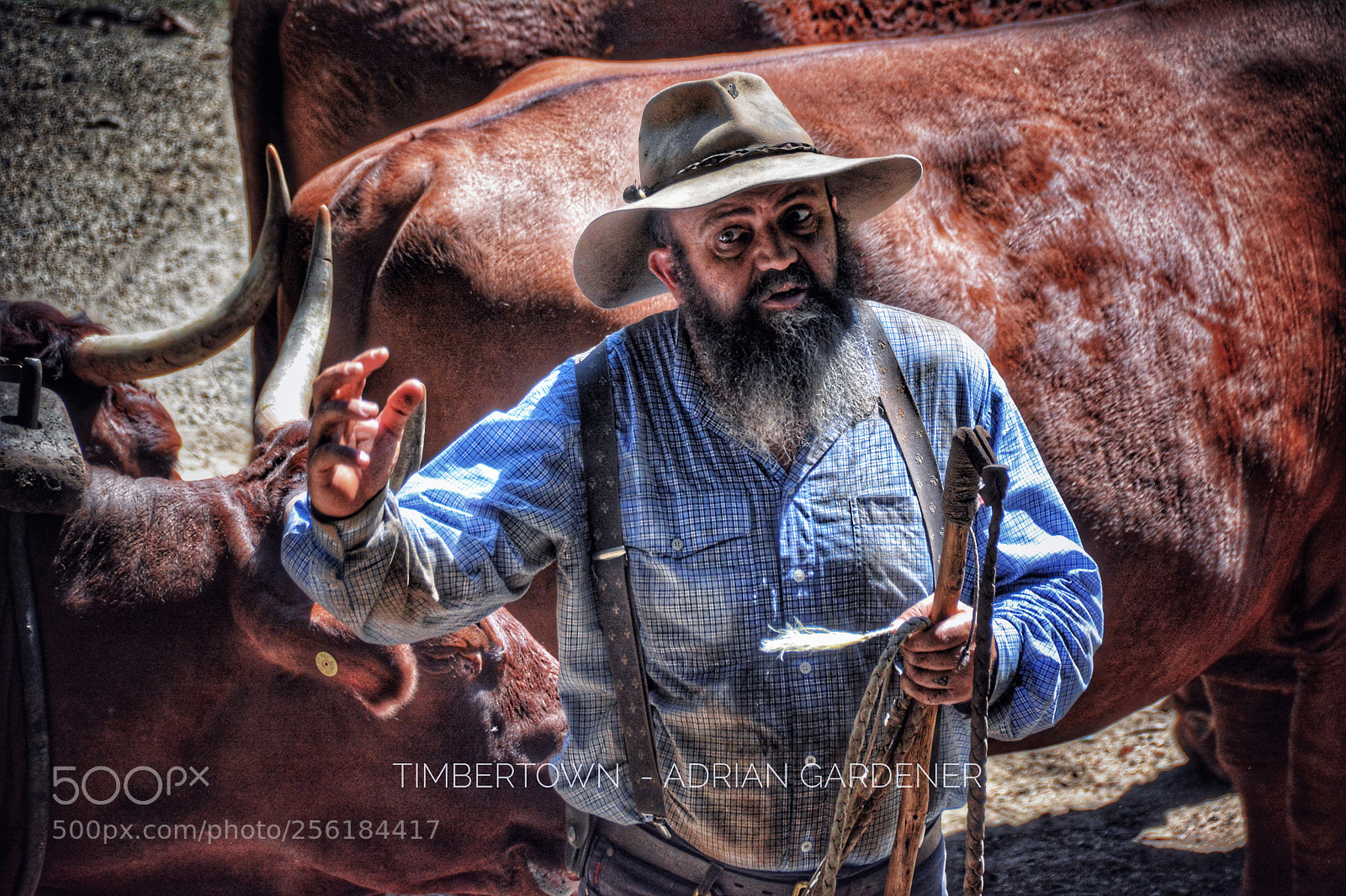 Nikon D7100 sample photo. Timbertown photography