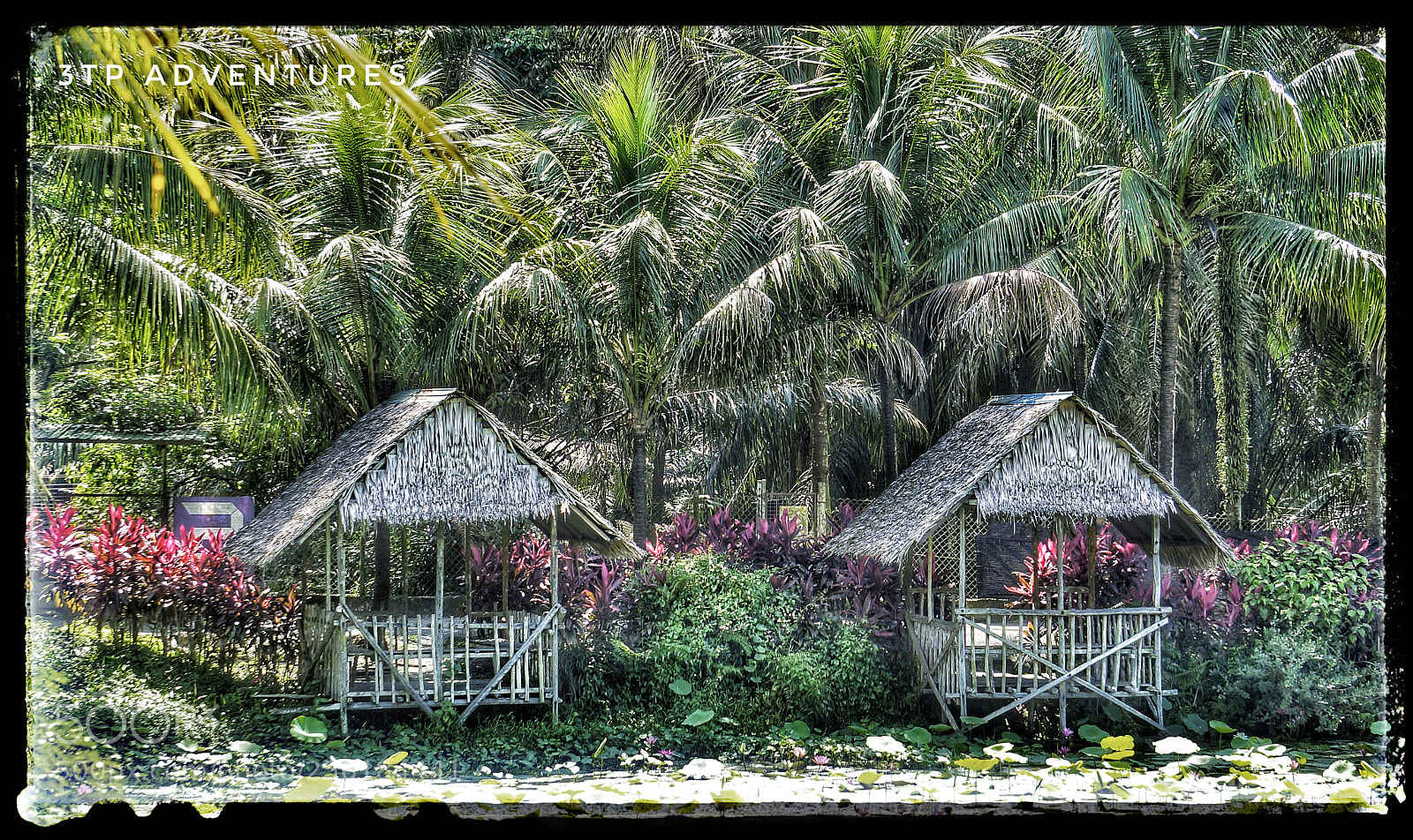 Sony Alpha NEX-5N sample photo. Rumah atap 2 photography