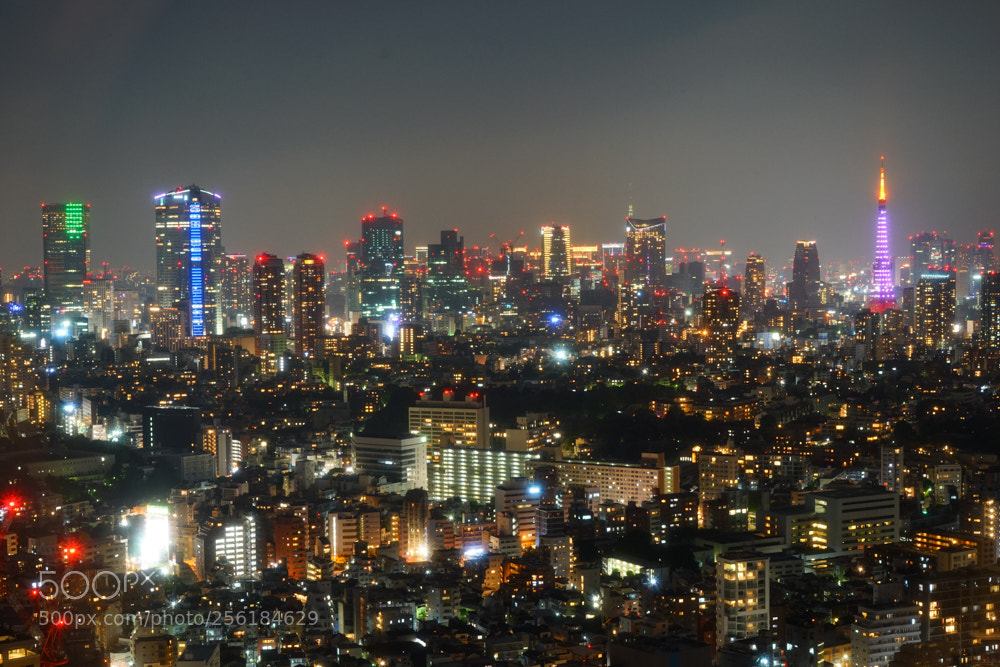 Sony a7 sample photo. Tokyo nightview photography