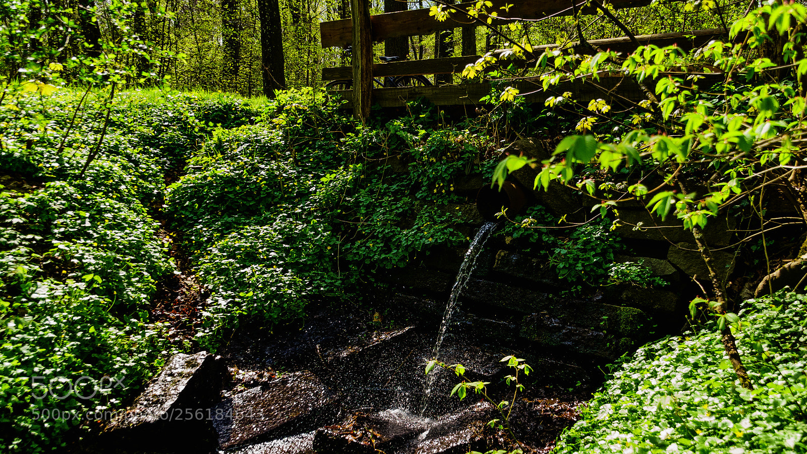 Sony ILCA-77M2 sample photo. Colors of spring iii photography