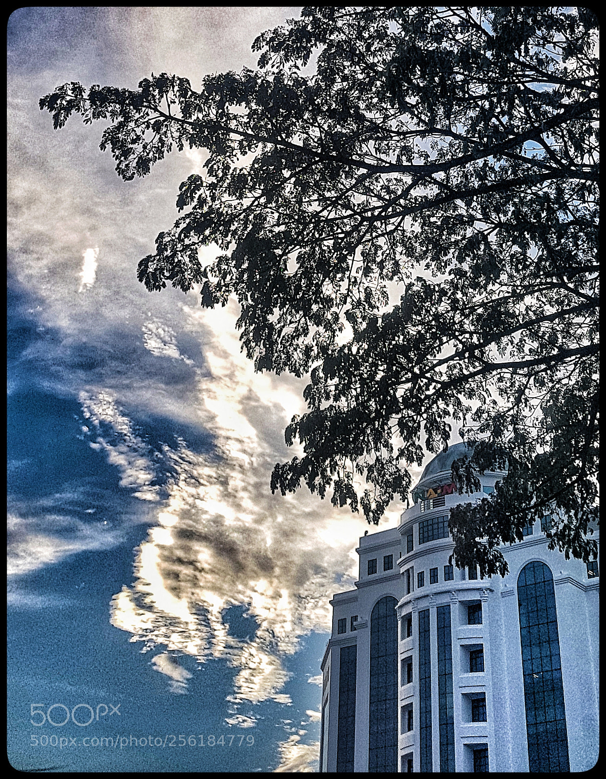 Samsung Galaxy S8+ sample photo. Untitled photography