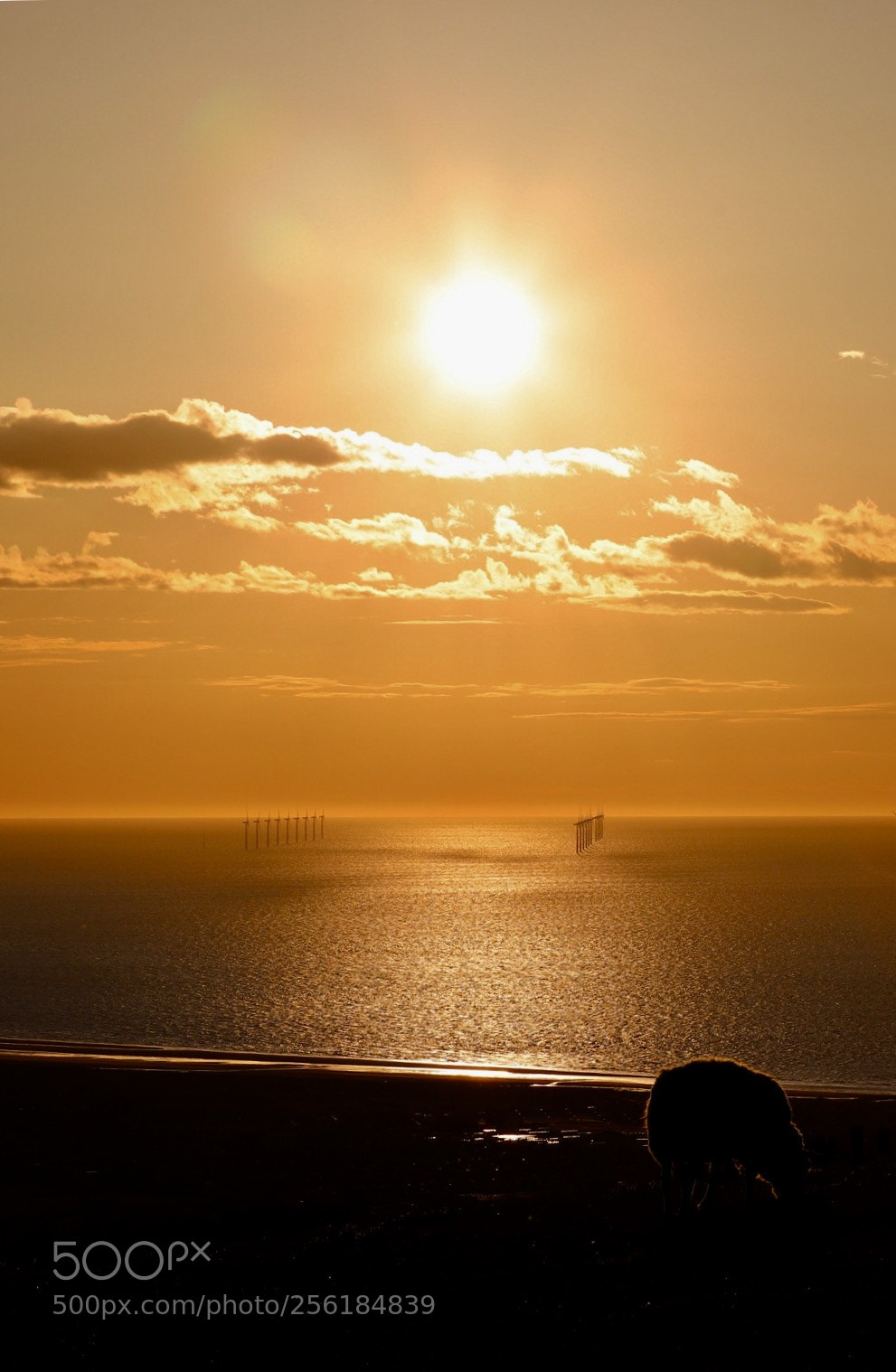 Canon EOS 6D Mark II sample photo. Prestatin beach sunset photography