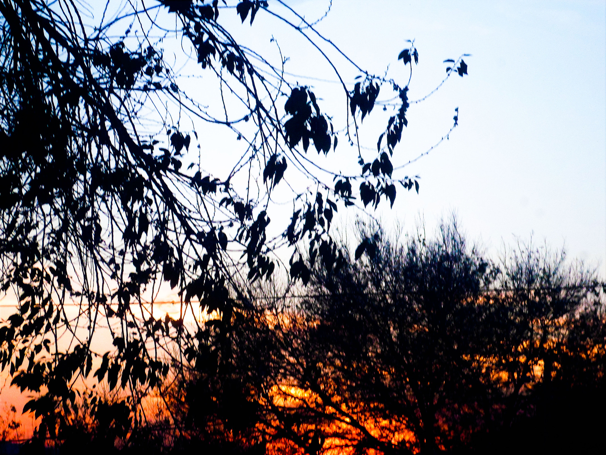 Samsung ST66 / ST68 sample photo. Atardecer photography