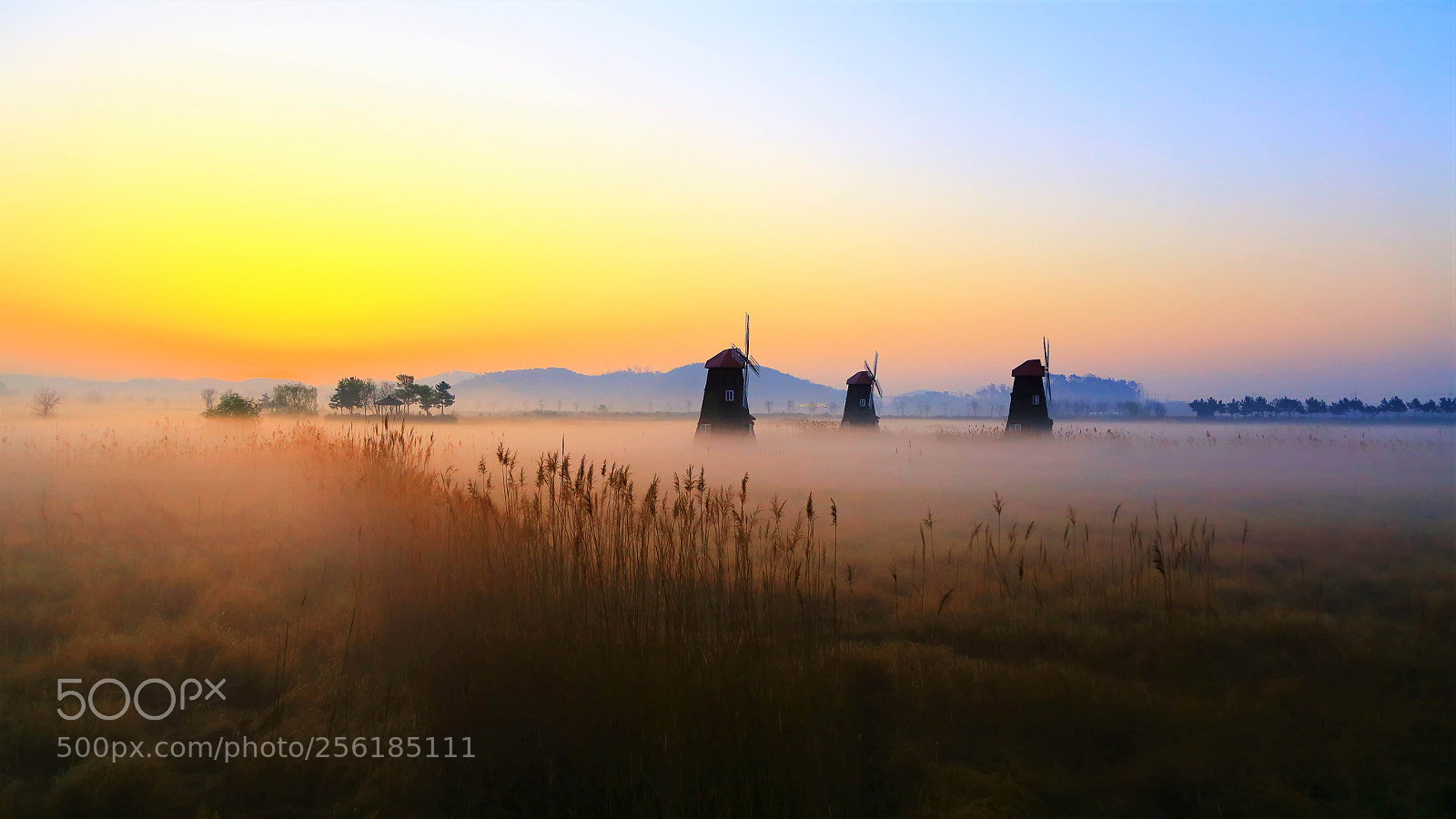 Canon EOS 6D sample photo. Daybreak photography