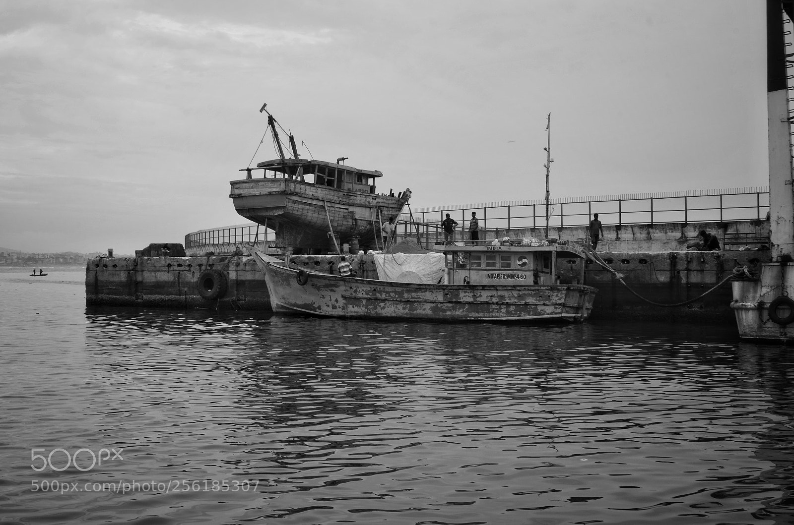 Nikon D5100 sample photo. Untitled photography