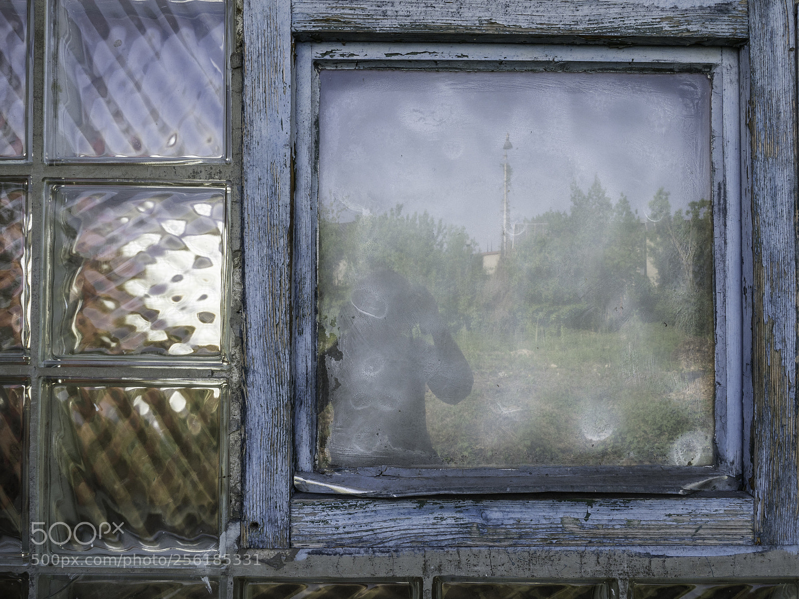 Olympus OM-D E-M1 Mark II sample photo. Old window photography