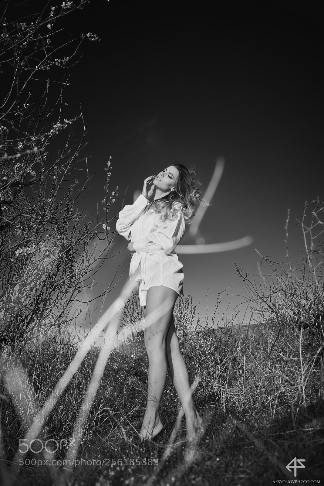 Nikon D610 sample photo. Bor photography