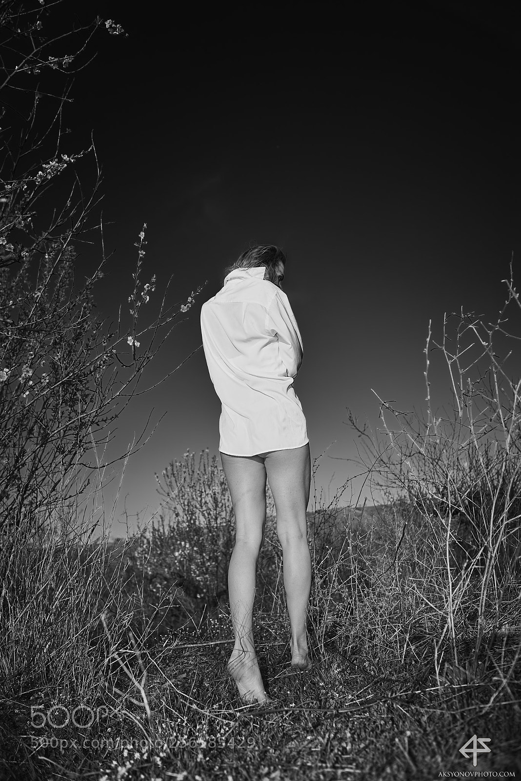 Nikon D610 sample photo. Bor photography